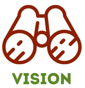 vision